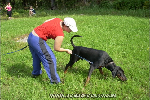 Summer training camp in Finland 2007